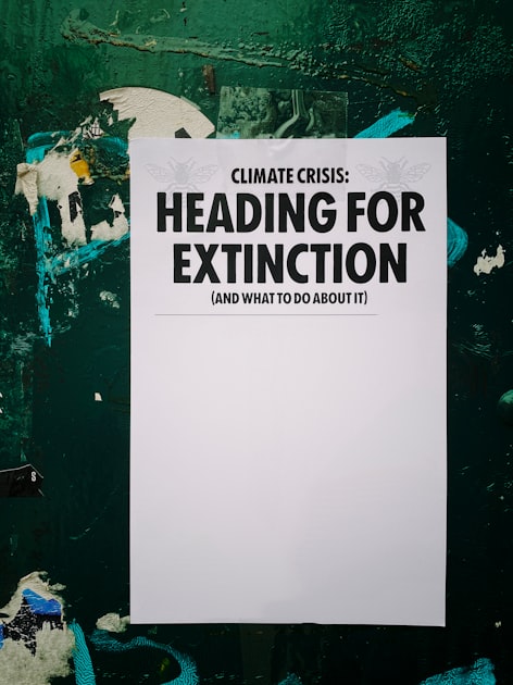 Carbon Accounting Essentials